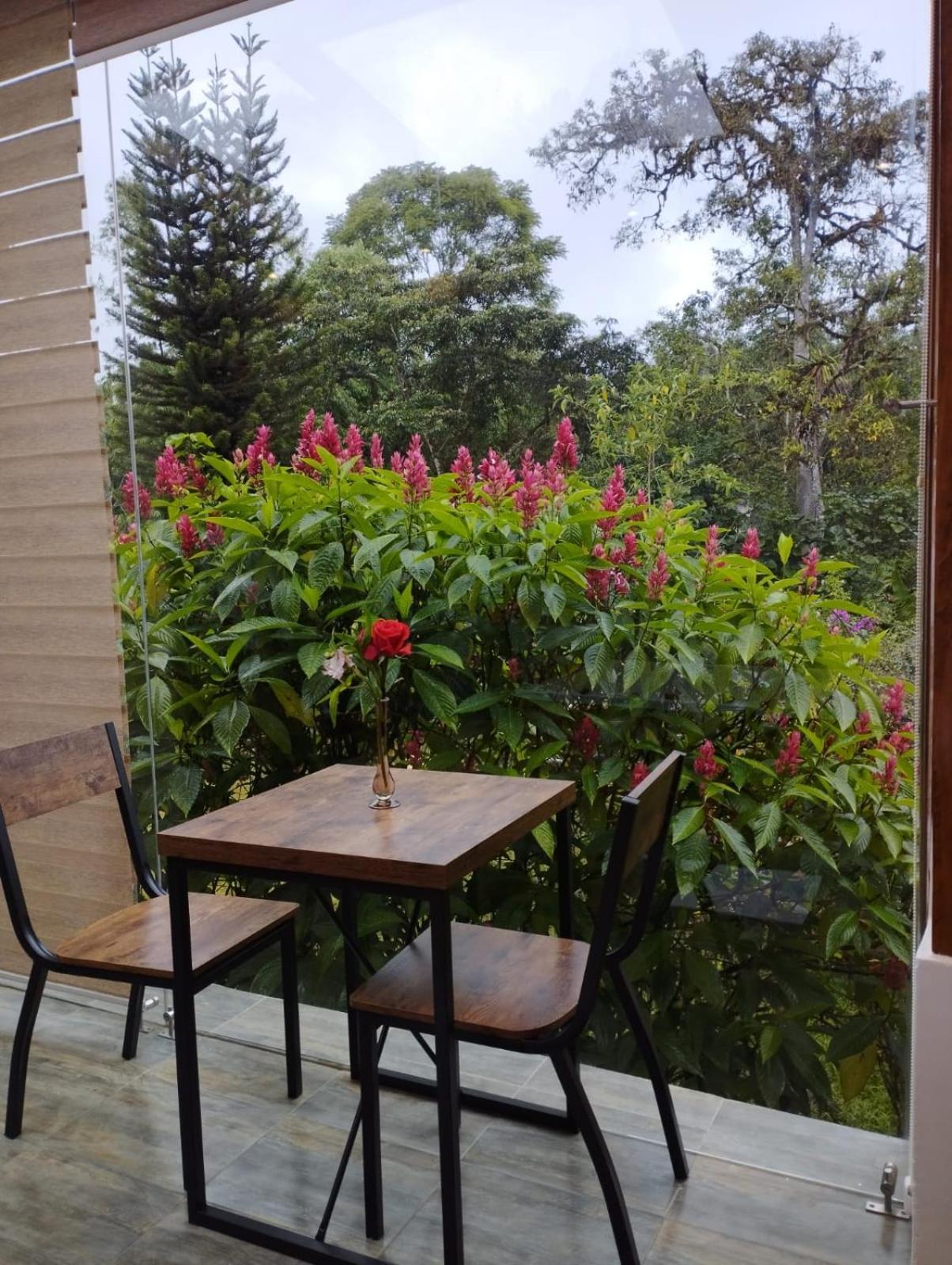 Saguamby Mindo Lodge المظهر الخارجي الصورة
